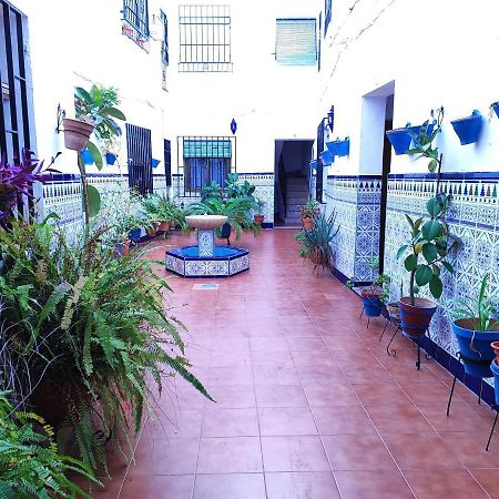 La Casa Del Patio En Pleno San Lorenzo กอร์โดบา ภายนอก รูปภาพ